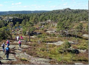 På Risdalsheia med Rislåknuden i det fjerne