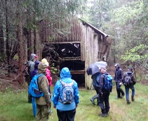 Filligtveit sag ved Hundlandsvanner er snart bare et minne
