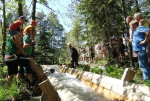Kristian Hørte sender stokkene ned tømmer-renna